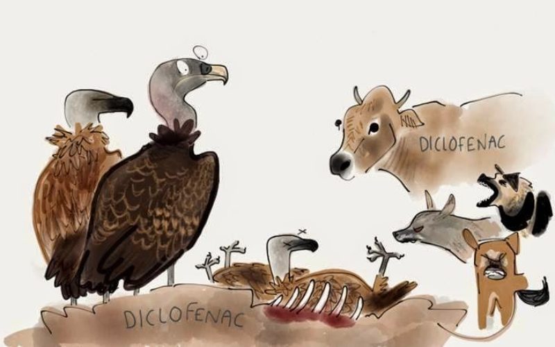 Ciência e Ambiente: uma questão de narrativa