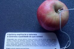 Saber | Química?! Nas coisas mais comuns e extraordinárias de um mundo mais sustentável