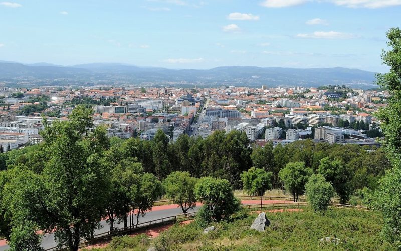 Parques Urbanos | Projeto de arborização transformará Monte do Picoto em Parque Urbano de Floresta Autóctone
