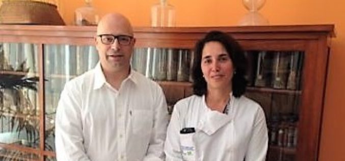 Genética | Parkinson. Investigadores portugueses colaboram na descoberta de novo gene associado à doença