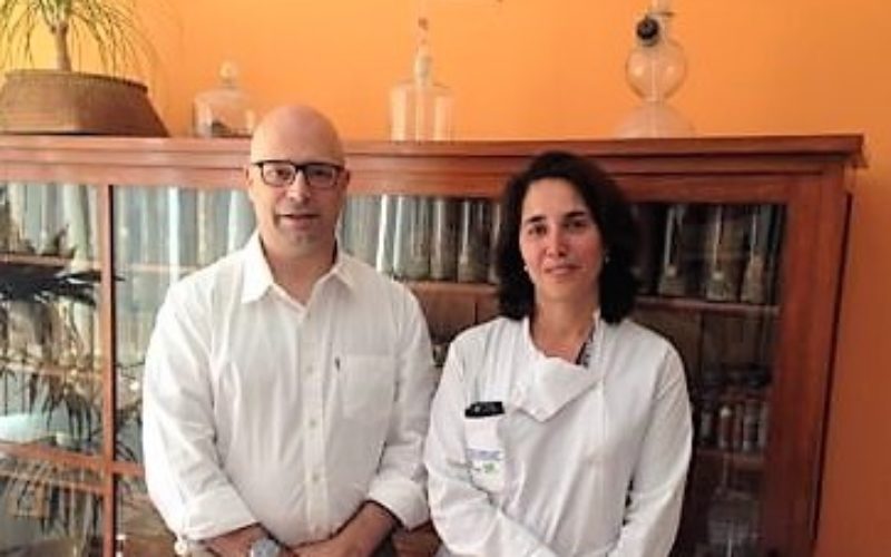 Genética | Parkinson. Investigadores portugueses colaboram na descoberta de novo gene associado à doença
