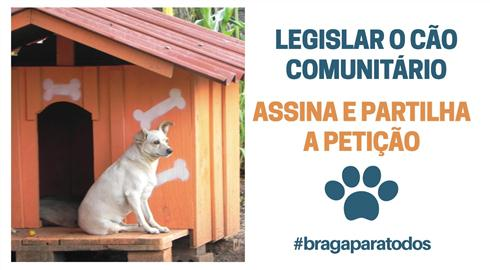 animais domésticos - cães - gatos - legislação - braga para todos - movimento cívico
