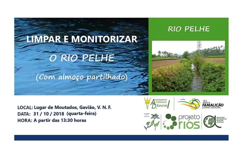 Projeto Rios | Agrupamento de Escolas D. Sancho I sai ao Rio Pelhe para limpar o rio