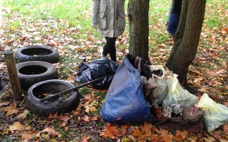 ASPEA e artistas de mãos dadas para repensar rios e ribeiras