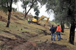 Reflorestação avança no Monte do Picoto com 2000 novas árvores
