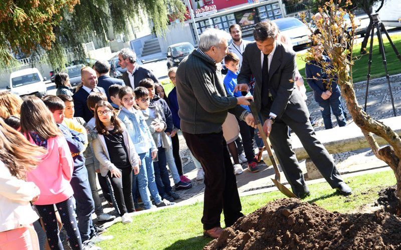Árvores e Poesia dão as mãos nesta Primavera em Famalicão