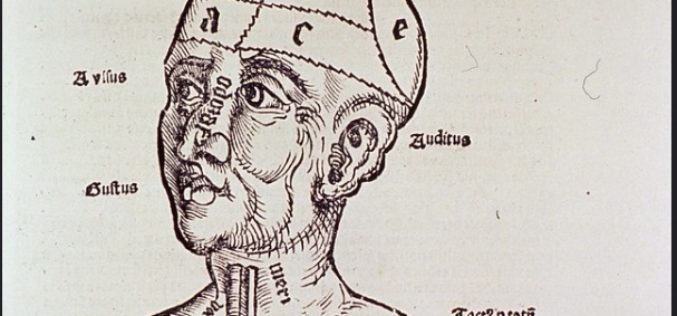 Pensar | A História do Cérebro