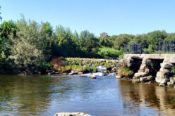 Ambiente | ‘O Ave para Todos’ pretende valorizar e promover o rio Ave a partir de Guimarães