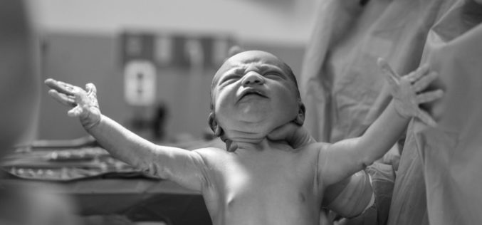 Natalidade | Mais de 80.700 nascimentos apontam para contínuo crescimento do número de nasciturnos