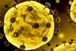 Biologia | O que são os vírus?