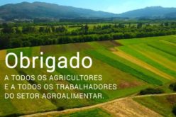 Agricultura | Governo lança medidas para apoiar agricultores e consumo de produtos locais