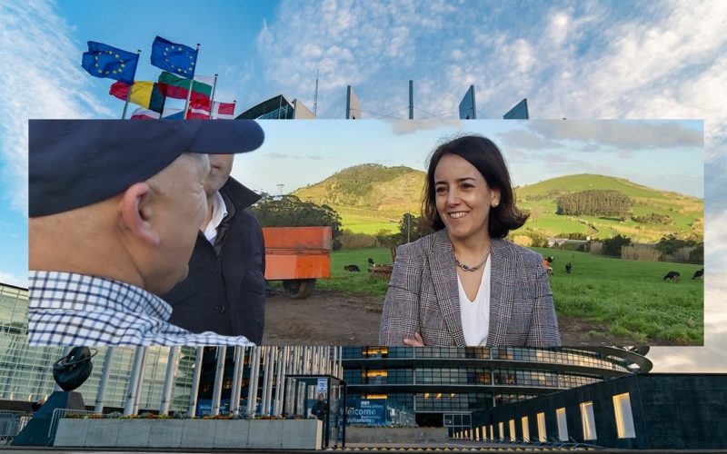 ‘Estratégia para o setor agrícola e agro-alimentar exige relevância e meios’