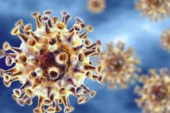 Saúde | Investigadores da CUF concluem que quase todos os pacientes de Covid-19 ganham anticorpos