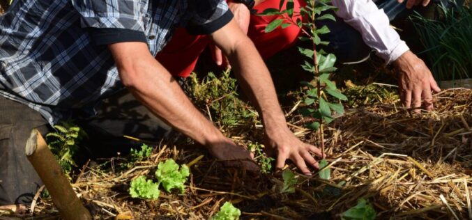Formação | Projecto Agroecológico do Soajo promove cursos de Permacultura