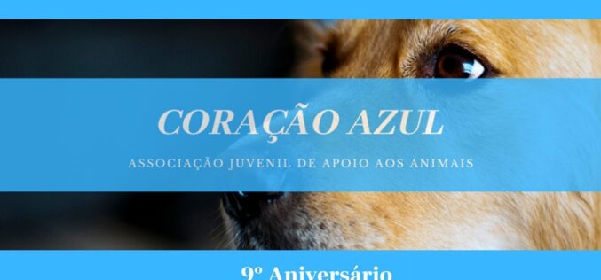 Animalia | ‘Coração Azul’ assinala 9 anos a cuidar de animais maltratados ou abandonados