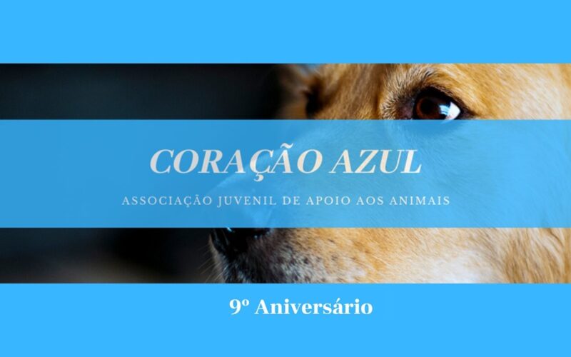 Animalia | ‘Coração Azul’ assinala 9 anos a cuidar de animais maltratados ou abandonados
