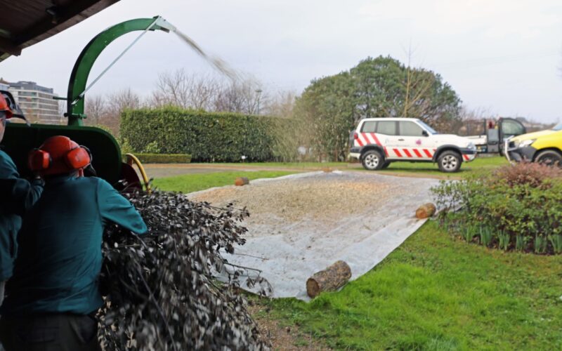 Floresta | Centro de Biotrituração Comunitário avança em Braga