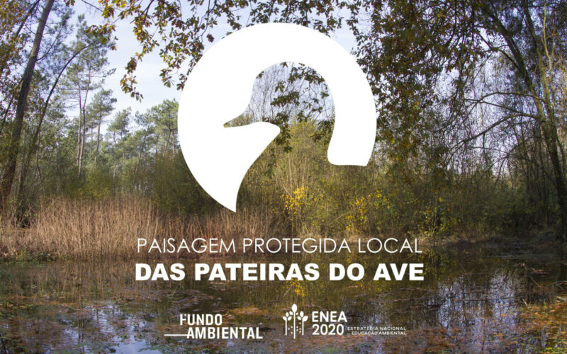 Ambientar-se | ‘Pateiras do Ave’ em divulgação e debate