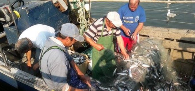 União Europeia falha compromissos de sustentabilidade nas pescas