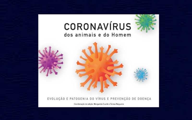 Ensino | Aprender sobre coronavírus de forma acessível e lúdica