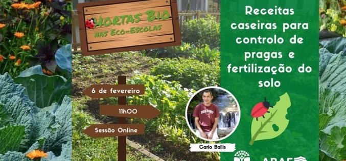 Ensino | Eco-escolas realiza webinar de apoio às Hortas Bio