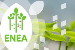 Ensino | Agência Portuguesa do Ambiente lança inquérito para redifinir Estratégia Nacional de Educação Ambiental