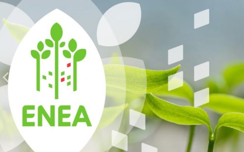 Ensino | Agência Portuguesa do Ambiente lança inquérito para redifinir Estratégia Nacional de Educação Ambiental