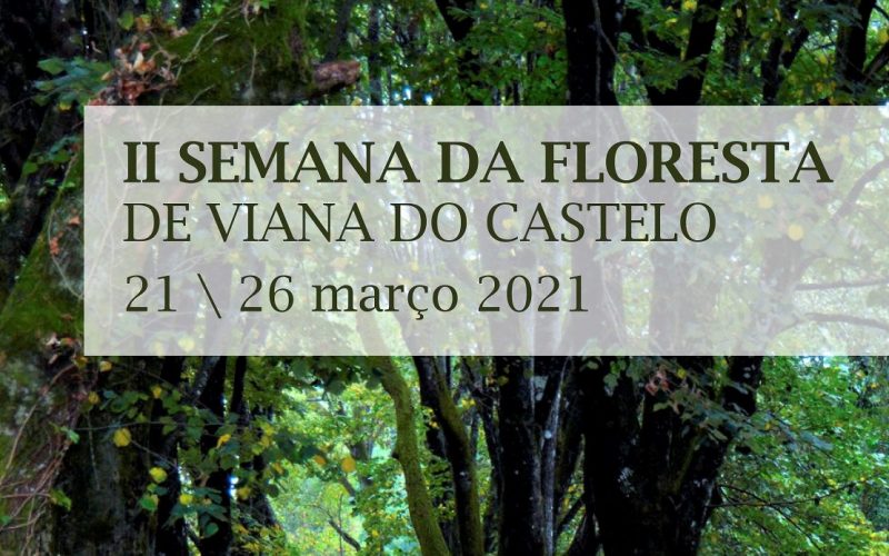 Viana do Castelo promove sustentabilidade ambiental