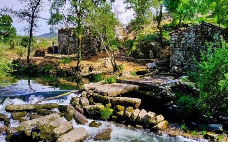 Viver O Ave quer devolver o Rio e o património às pessoas