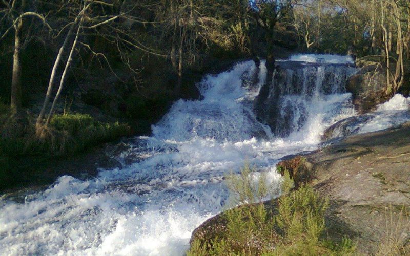 Guarda-rios vão proteger Rio Leça de Santo Tirso até à foz em Matosinhos