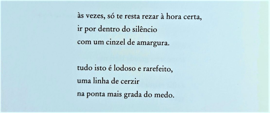 diogo martins - manual dos dias cavos - emanuel jorge botelho - literatura - poesia - ensaio