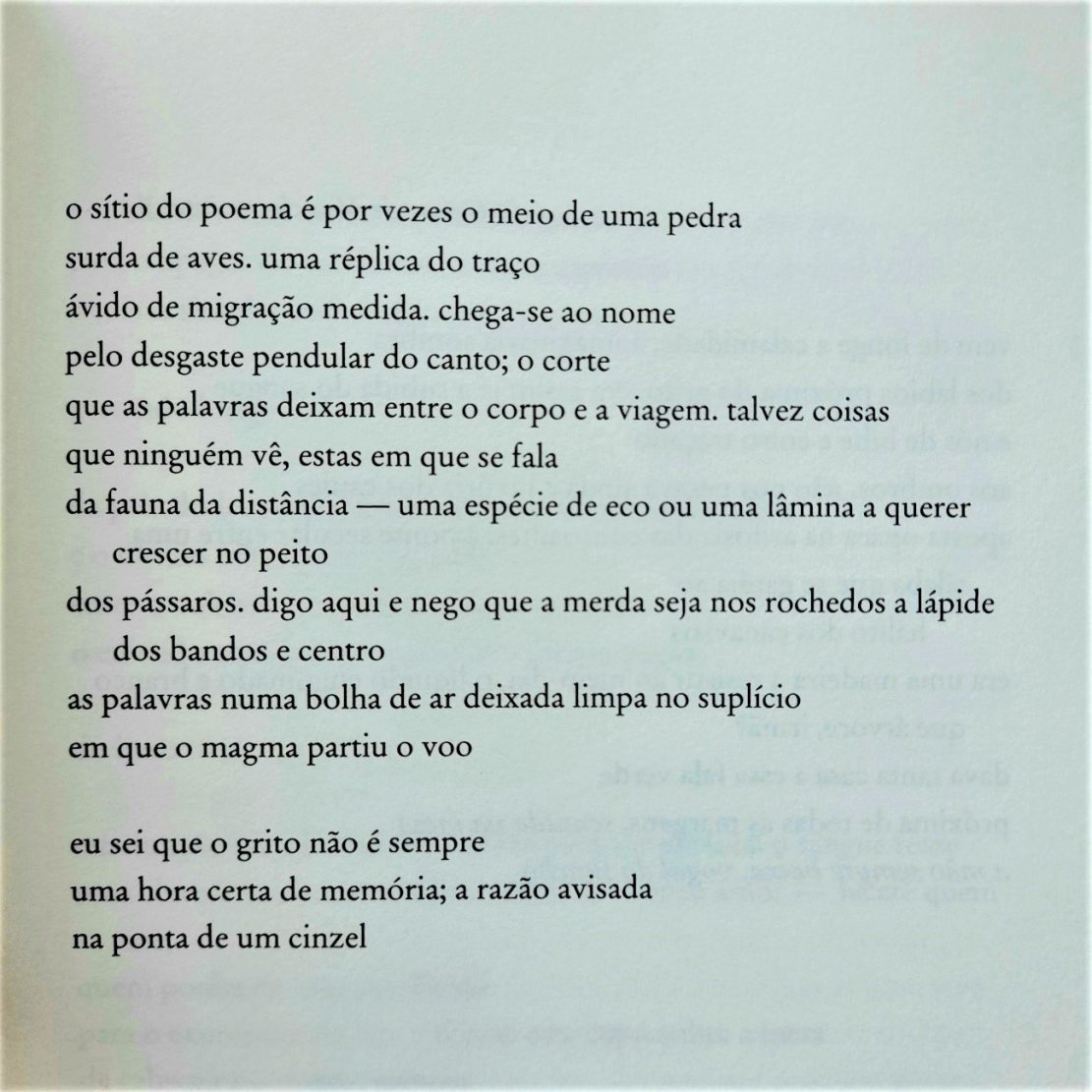 diogo martins - manual dos dias cavos - emanuel jorge botelho - literatura - poesia - ensaio - açores