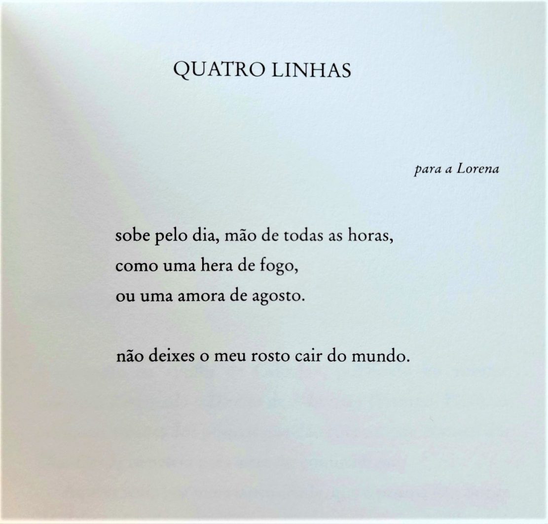 diogo martins - manual dos dias cavos - emanuel jorge botelho - literatura - poesia - ensaio - açores