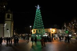 A árvore e a iluminação de Natal estão de regresso a Famalicão
