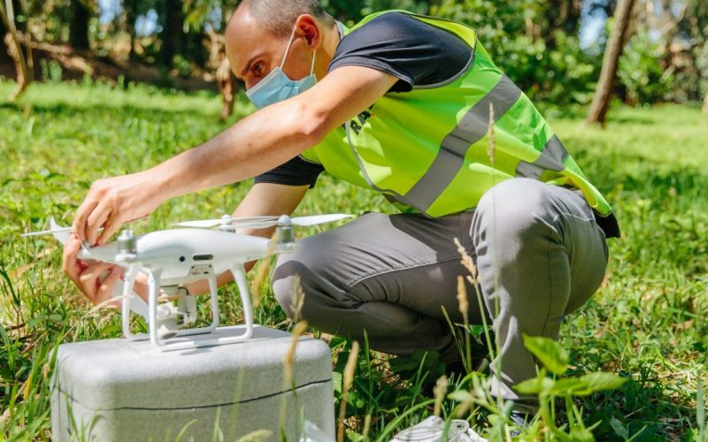 O RAIZ e a ciência ao serviço da gestão florestal