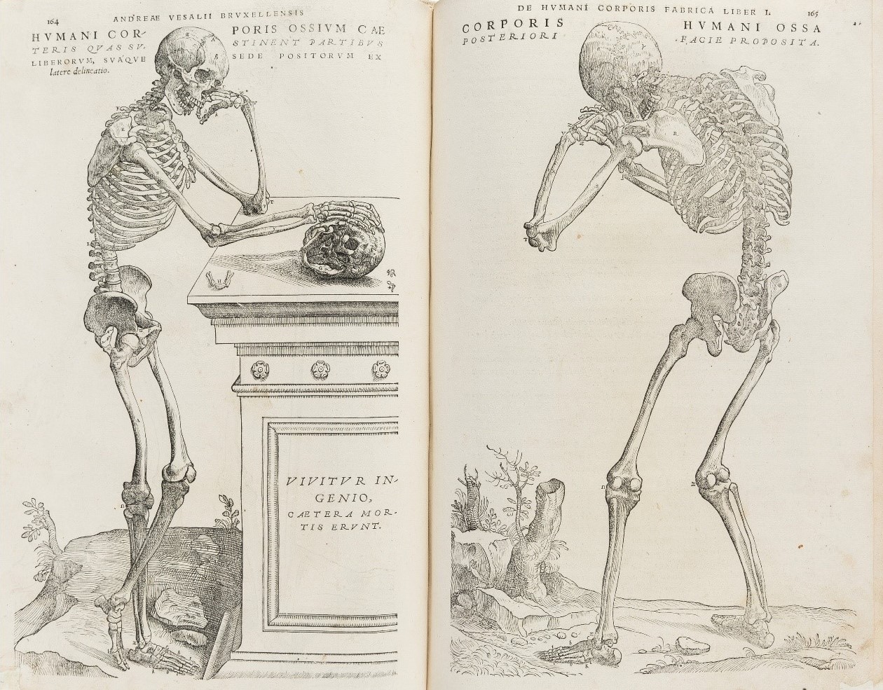 corpo humano - vida e morte - humani corporis