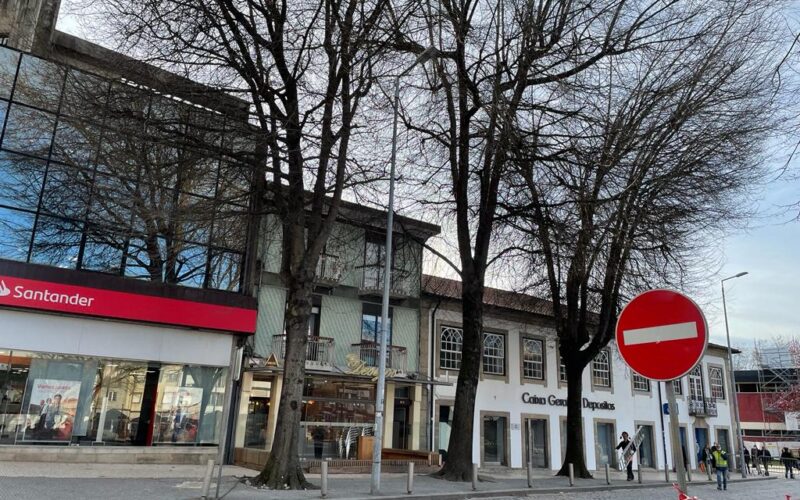 PAN preocupado com falta de regulamento do arvoredo em Famalicão