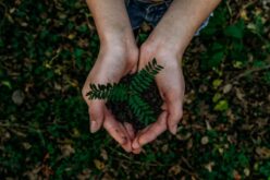 #BeTheWave contra as mudanças climáticas no Dia Mundial da Terra