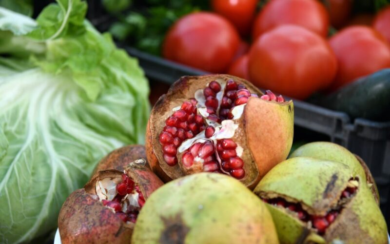 Nutrir a biodiversidade para dar saúde às pessoas e ao planeta