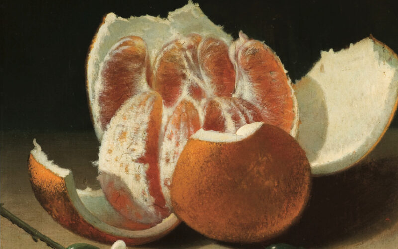 Novo livro sobre a História da Laranja em Portugal