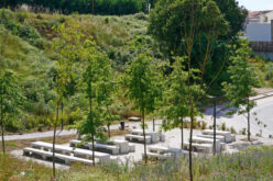 Parque das Camélias é laboratório de adaptação às alterações climáticas