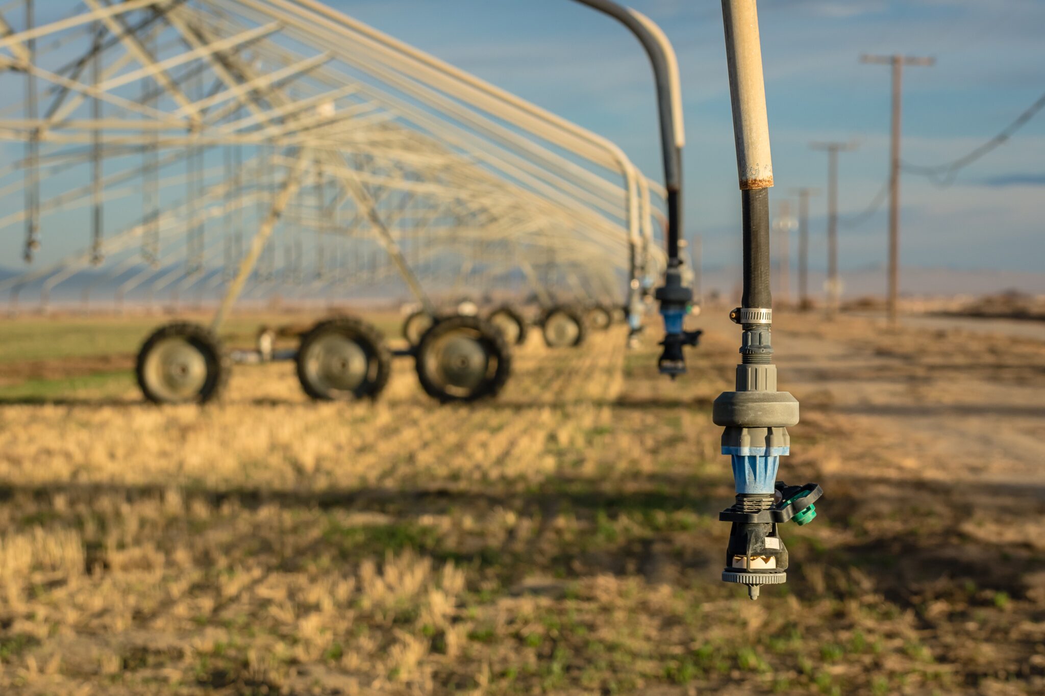 seca - agricultura - ambiente - economia - água - rega - agricultura