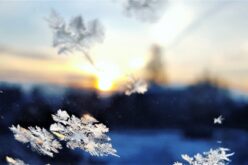 Solstício de Inverno – o dia mais curto
