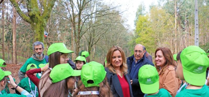 Vila Verde quer todos vigilantes na proteção da floresta