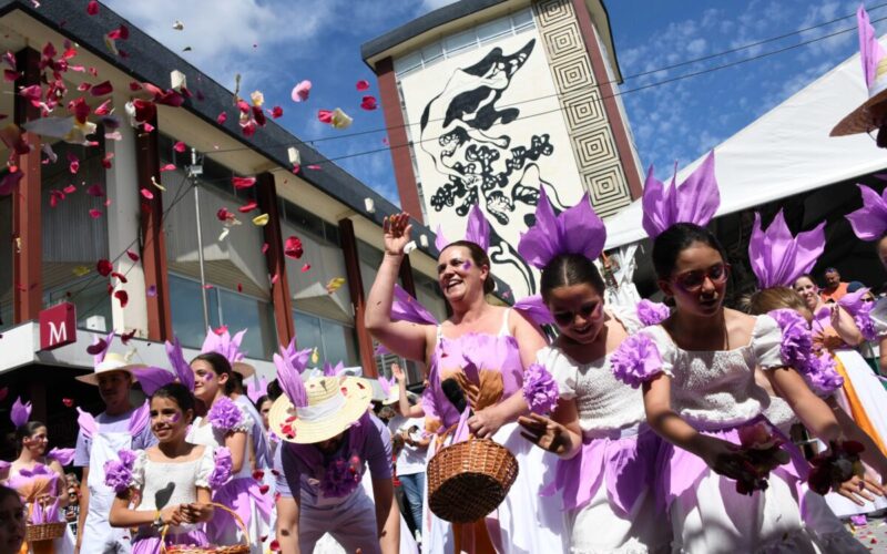 Festa da Flor atrai cada vez mais visitantes a Famalicão